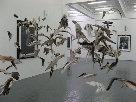 Click the image for a view of: Installation view Rosemarie Marriott exhibition I